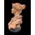 Scultura in terracotta raffigurante busto femminile.firma:Italo Campagnoli,data 1897. 
