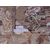 Lampasso Lizzo - T/282 -