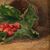 Octave Cartel (Belga, 1884 - 1944) - Natura morta di fragole.