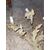 Coppia appliques bronzo dorato epoca '800