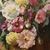 DIPINTI ANTICHI DI FIORI, NATURE MORTE CON MALVAROSE E HIBISCUS, OLIO SU TELA, DELL 800. (QF648)