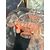 Antico servizio art Decò 1940 in vetro rosa, mis. coppa grande 13x24 cm coppe piccole 7x13