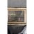 Antico Dipinto olio su tavola Papere nello Stagno 1940, mis 59x46