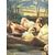 Antico Dipinto olio su tavola Papere nello Stagno 1940, mis 59x46