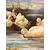 Antico Dipinto olio su tavola Papere nello Stagno 1940, mis 59x46