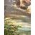 Antico Dipinto olio su tavola Papere nello Stagno 1940, mis 59x46