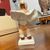 Antica scultura in ceramica “ Colpo di Vento “ Mollica anni 40 . Mis h 23 