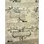 Antica incisione Albero genealogico famiglia Stuart, epoca fine XVII sec. Mis 118x86 cm