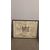 Antica incisione Albero genealogico famiglia Stuart, epoca fine XVII sec. Mis 118x86 cm