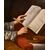 Ritratto di Re Salomone, Michele Desubleo (Maubeuge, 1602 - Parma, 1676) attribuibile