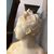 Busto raffigurante Diana