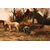 Olio su tela raffigurante scena campestre firmato Cor Bouter 1888-1966 (C.Verschuur)