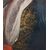 Ritratto del marchese Antonio Trecchi