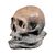Scultura in terracotta - Memento mori. Italia, XVIII-XIX secolo.