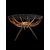 Coffee table modello “Spider Table” - CARLO DE CARLI 
