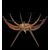 Coffee table modello “Spider Table” - CARLO DE CARLI 