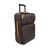 LOUIS VUITTON Borsa da Viaggio in Tela Col. Marrone Pegase L