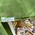 GUCCI Foulard Vintage in Seta Col. Verde Funghi (Mushrooms)