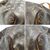 LOUIS VUITTON Borsa da Viaggio in Tela Col. Marrone Keepall L
