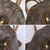 LOUIS VUITTON Borsa Shopper in Tela Col. Marrone Tivoli M
