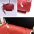 MIU MIU Borsa a Tracolla in Pelle Col. Rosso RR1926 S