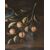 Scuola italiana (XVII) - Natura morta - olio su tela