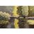 QUADRI ANTICHI, PAESAGGIO CON FIUME, NINFEE E FIORI DI LOTO, OLIO SU TELA, PRIMI DEL NOVECENTO. (QP642)