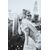 Marilyn Monroe a New York (1955) | Fotografia B/N con cornice