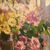 QUADRI ANTICHI, ART DECO, NATURA MORTA CON FIORI DI ROSE E MARGHERITE, OLIO SU TELA, XX SECOLO. (QF655)