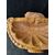 Bellissima acquasantiera in marmo giallo reale - 33 x 24 cm