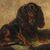 Pittore inglese (XIX sec.) - King Charles Cavalier Spaniel dog.