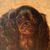 Pittore inglese (XIX sec.) - King Charles Cavalier Spaniel dog.