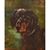 DIPINTI ANTICHI, RITRATTI DI CANI, SETTER GORDON, OLIO SU TELA, EPOCA OTTOCENTO. (QA660)
