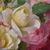 DIPINTI ANTICHI CON FIORI DI ROSE ROSA, NATURE MORTE, OLIO SU TELA, PRIMI DEL NOVECENTO. (QF665)
