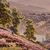 DIPINTI ANTICHI PAESAGGI, VALLE DELLA CORREZE E VILLAGGIO, DIDIER POUGET, OLIO SU TELA. (QP658)