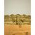 Antico gruppo di tre Cartagloria, XIX sec, in metallo sbalzato dorato, 26x35 e 26x21cm