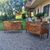 Coppia di cassettoni Lombardi noce del 700 con intarsi bois de rose 