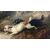 Dipinto, olio su tela, "Terriers che inseguono un coniglio" firmato G. Armfield - XIX sec. 