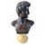  Busto in Bronzo 'Davide' con Base in Marmo, su colonna in marmo verde, XIX Secolo 
