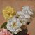 QUADRI ANTICHI, ART DECO, NATURA MORTA CON FIORI DI ROSE BIANCHE, OLIO SU TELA, XX SECOLO. (QF668)