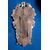 Baroque Mirror in Lacquered and Carved Wood, 1940s Sicily (Italy) H 62 cm, L 35 cm, P 6 cm