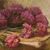 QUADRI ANTICHI, ART DECO, NATURA MORTA, FIORI DI GAROFANI E LIBRO, OLIO SU CARTONE, XX. (QF671)
