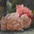 DIPINTI ANTICHI DI FIORI, NATURE MORTE CON PEONIE, OLIO SU TELA, EPOCA OTTOCENTO. (QF673)