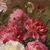 DIPINTI ANTICHI DI FIORI, NATURE MORTE CON PEONIE E LIBRI, OLIO SU TELA, EPOCA OTTOCENTO. (QF672)