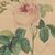 Disegnatore europeo (datato 1828) - La rosa.