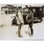 Fotografie originali I Guerra Mondiale 1918