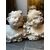 Coppia di putti in marmo XVII secolo