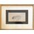 Leonessa - Disegno Atelier de Brunet-Houard (1827-1922)