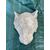 Calco Gesso Leone