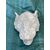 Calco Gesso Leone